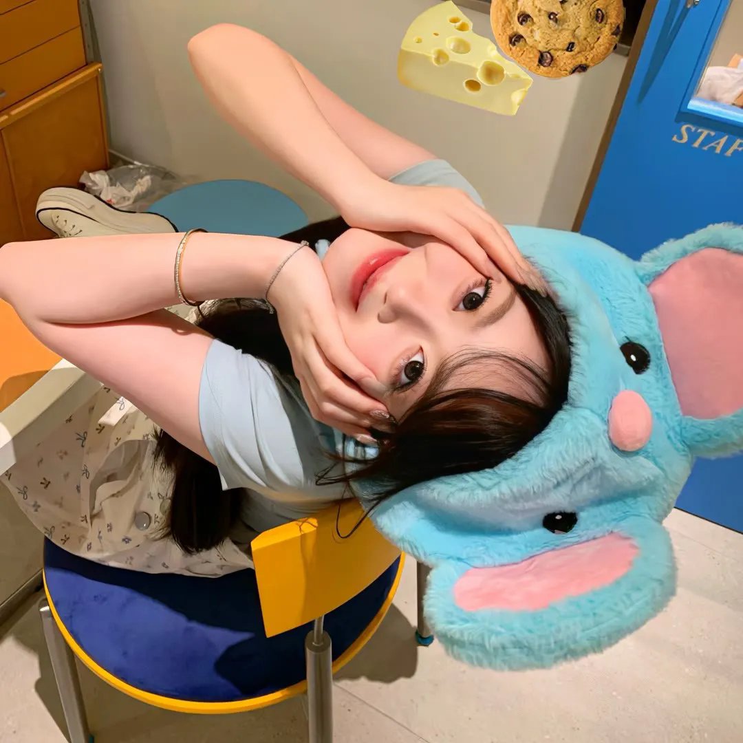 新女婿时代