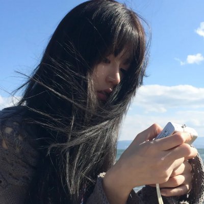 骑着鱼的猫